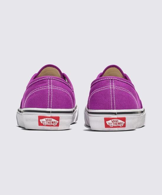 Vans Authentic Low-Top Canvas Sneakers for Men VN000D6GE2T1 DOM