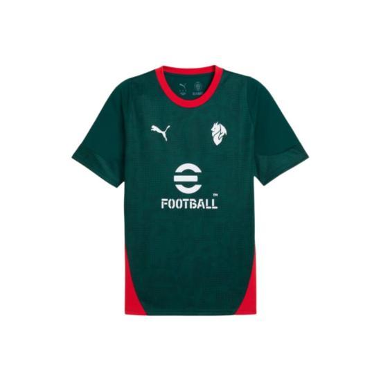 PUMA Training T-Shirt for Men 782356 10 DOM