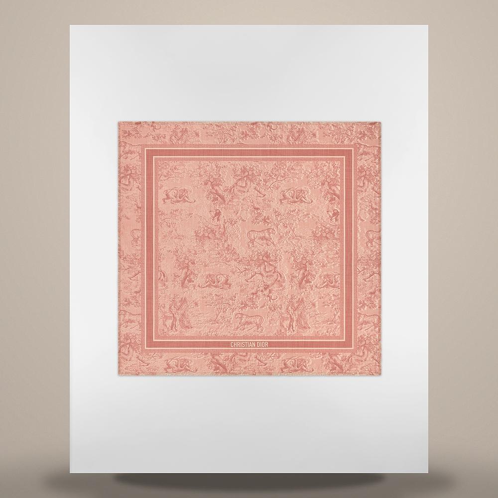 DIOR Rose des Vents Toile de Jouy Sauvage Wool Silk Scarf