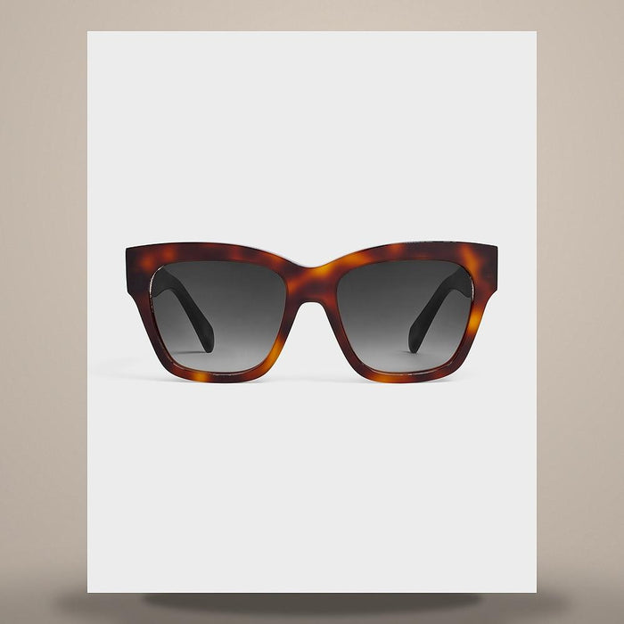 CELINE Triomphe 09 Sunglasses Acetate Classic Havana 4S253CPLB 19HD