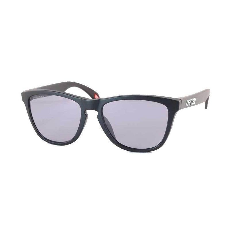 Nike Matte Black Prizm Slate Frogskins Sunglasses