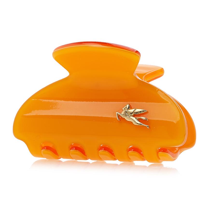 Etro Profumi Hair Clip for Women