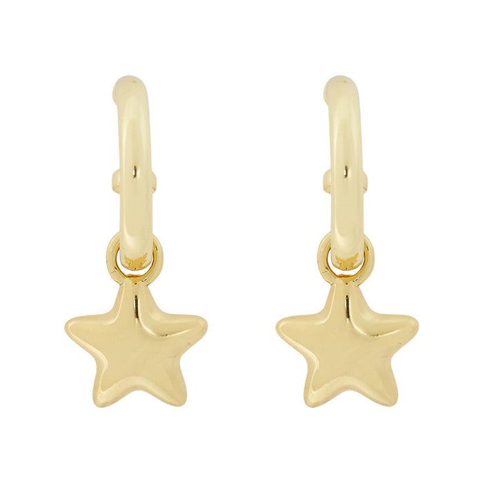 Coach Women’s Earrings 546484 GLD 710