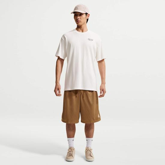 Nike Men’s Shorts IQ6257 270 DOM