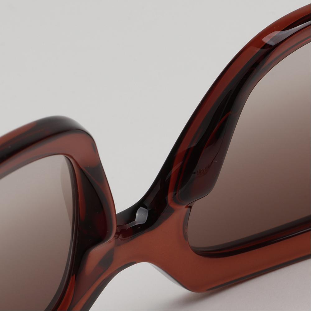 Ferragamo Black Acetate Oversized Sunglasses with Gold Accents SF1041S 232