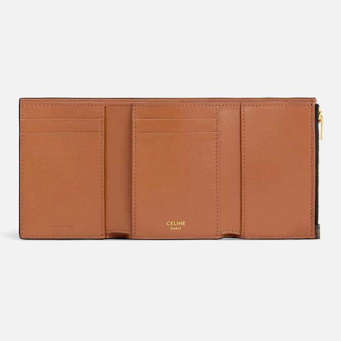CELINE Triomphe Canvas Avignon Small Wallet 10M962CQH 04LU