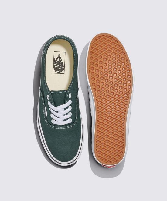 Vans Authentic Low-Top Canvas Sneakers for Men VN000D7YPRM1 DOM