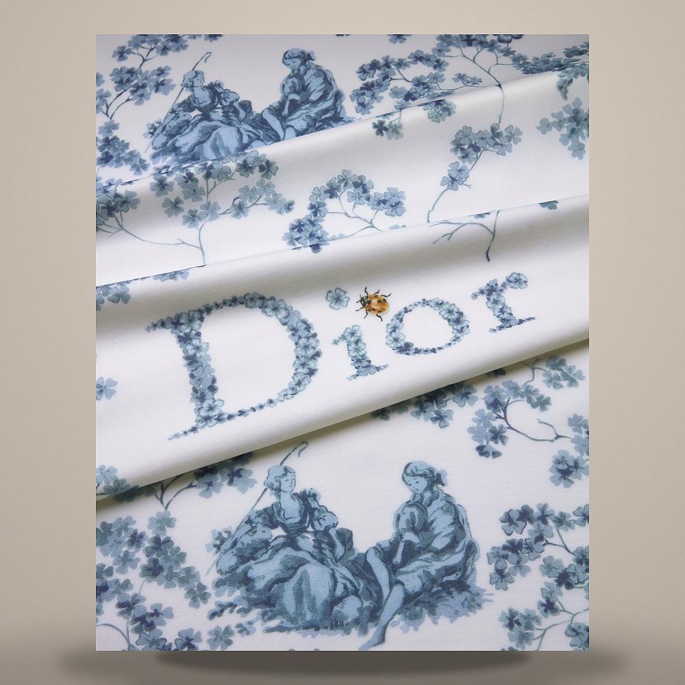 DIOR Toile de Jouy Clover Cashmere Shawl White/Blue 65TS140I0221 C515