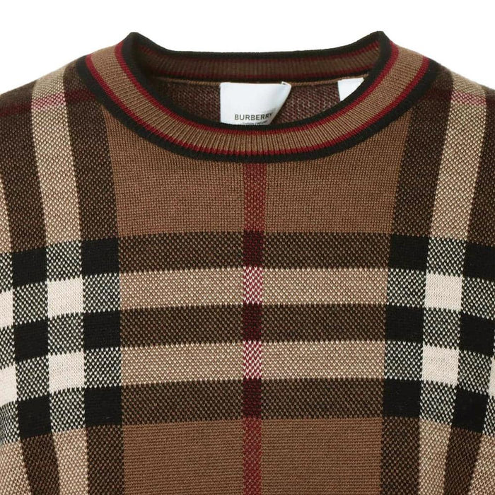 BURBERRY Brown Check Jacquard Wool Crewneck Sweater for Men 8036603