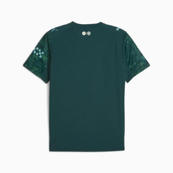 PUMA Training T-Shirt for Men 782692 04 DOM