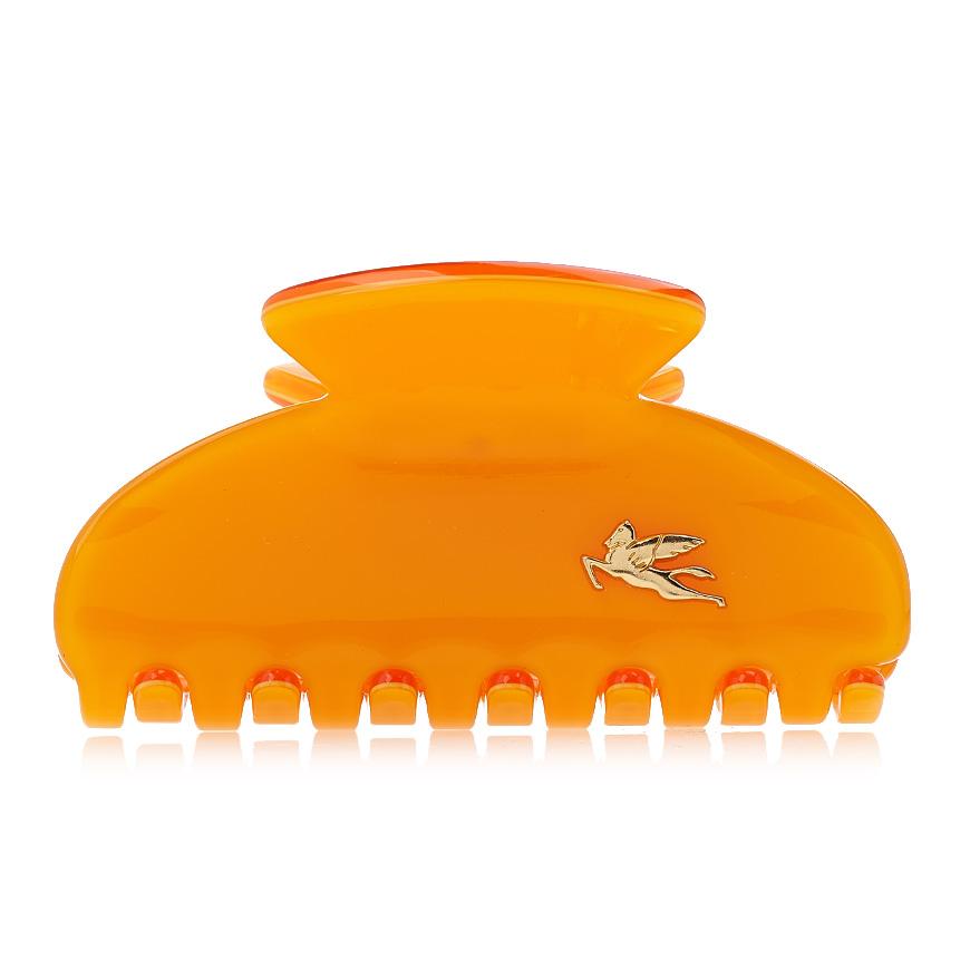 Etro Profumi Hair Clip for Women