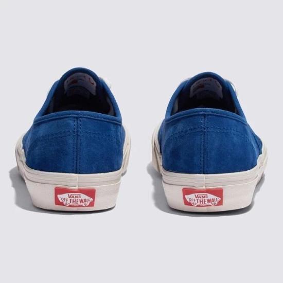 Vans Authentic Low-Top Canvas Sneakers for Men VN000D6G5TU1 DOM
