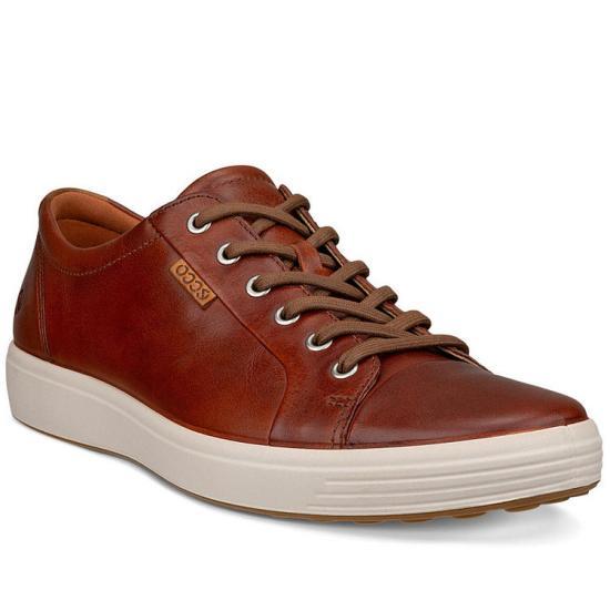 ecco Brown Leather Sneakers for Men