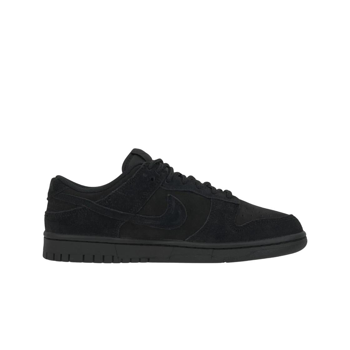 Nike Dunk Low Retro SE Black Low-Top Sneakers for Men IB6651 001