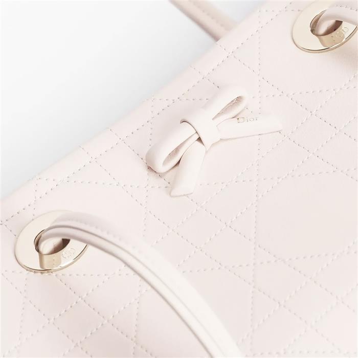 DIOR Promenade Shopper Tote Small Shoulder Bag