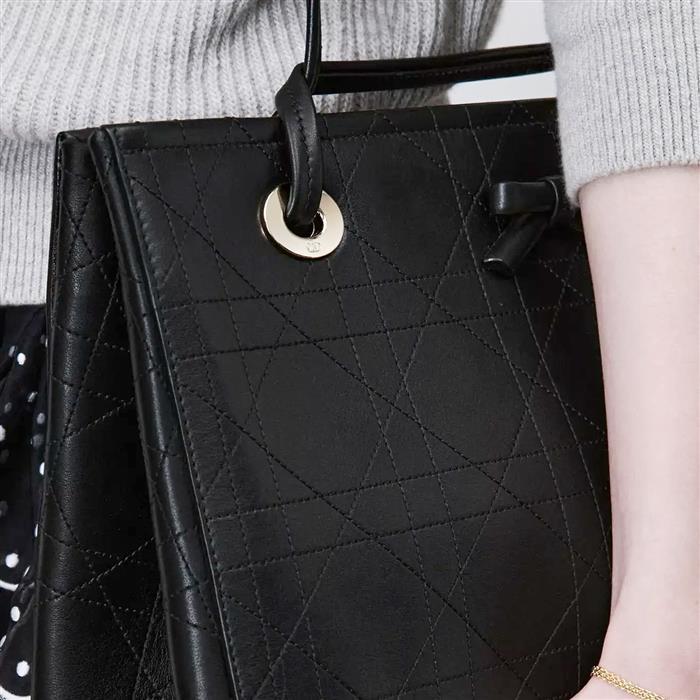 DIOR Promenade Shopper Tote Medium Shoulder Bag