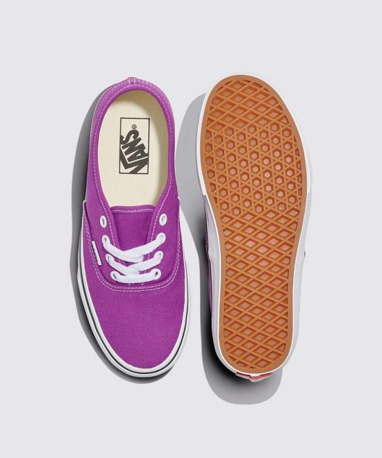 Vans Authentic Low-Top Canvas Sneakers for Men VN000D6GE2T1 DOM