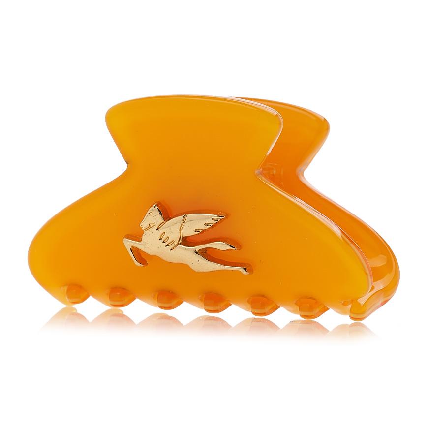 Etro Profumi Hair Clip Women’s Accessory