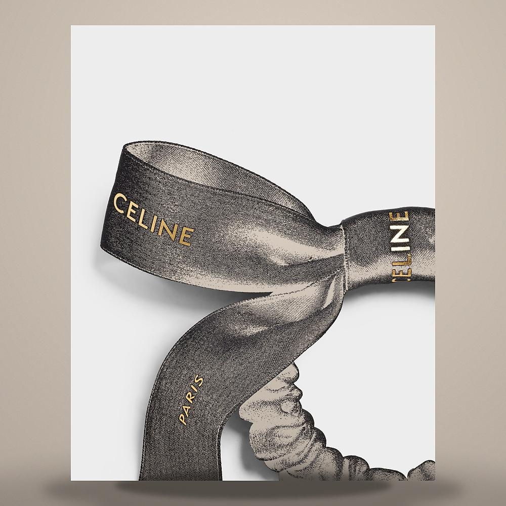 CELINE Large Hair Claw Acetate Dark Havana Hair Accessory 46Y856CST 19DT