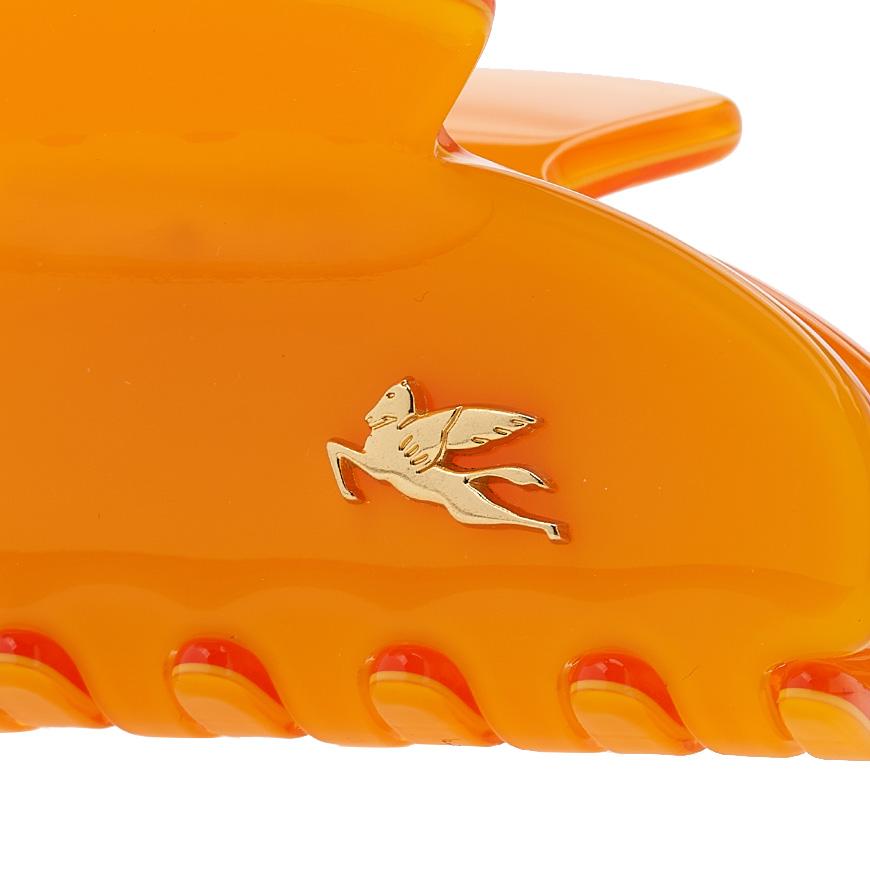 Etro Profumi Hair Clip for Women