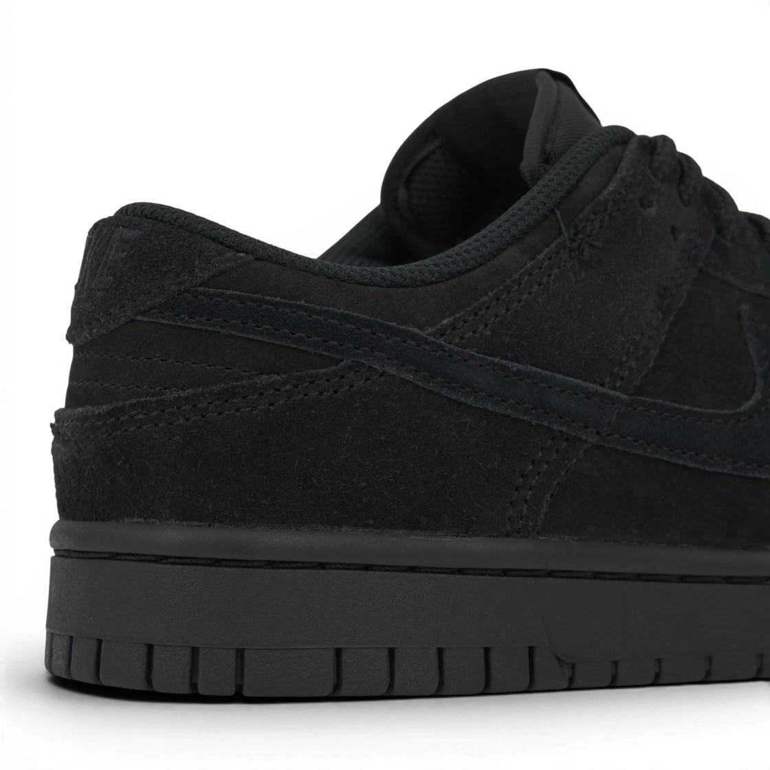 Nike Dunk Low Retro SE Black Low-Top Sneakers for Men IB6651 001