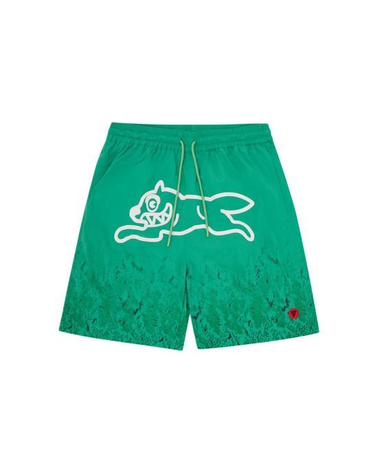 ICECREAM Green Cotton Casual Shorts for Men