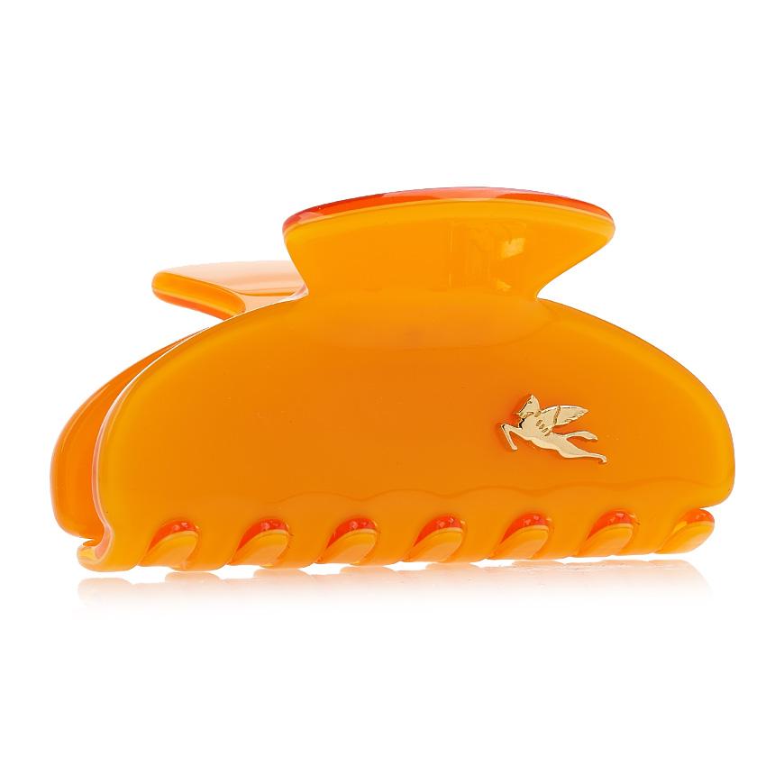 Etro Profumi Hair Clip for Women