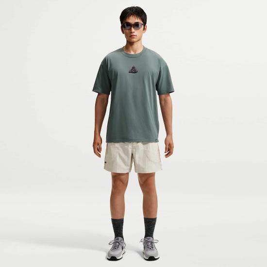 Nike Men’s Short Pants IF0894 104 DOM