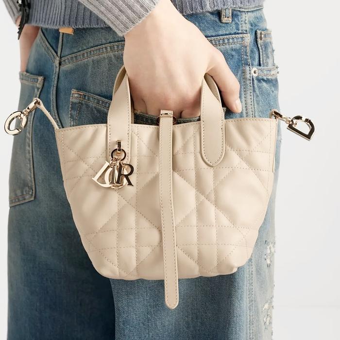 DIOR Toujours Vertical Nano Tote Bag Shoulder Bag S6100OSNW M51U