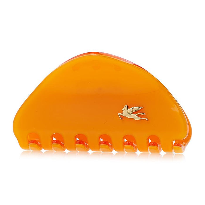 Etro Profumi Hair Clip Women’s Accessory