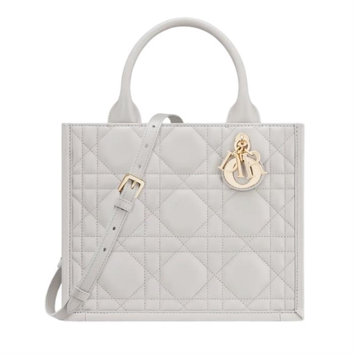 DIOR Book Tote Small Shoulder Bag M1325OWHP M55G