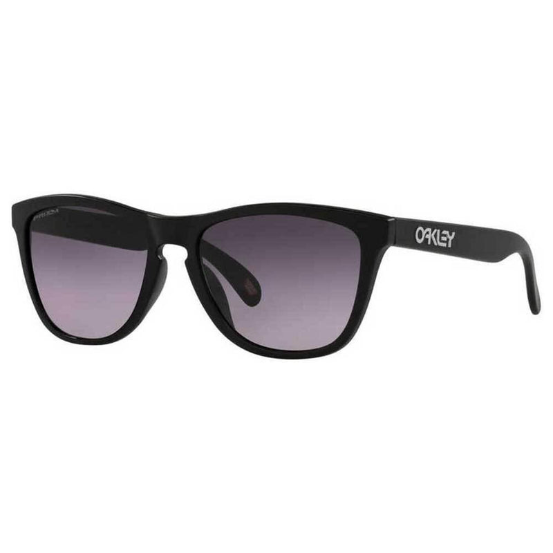 Nike Matte Black Prizm Gray Gradient Frogskins Sunglasses