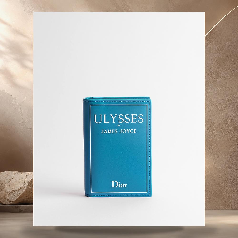 DIOR Light Blue White Bifold Card Holder Book Cover Embossed Calfskin