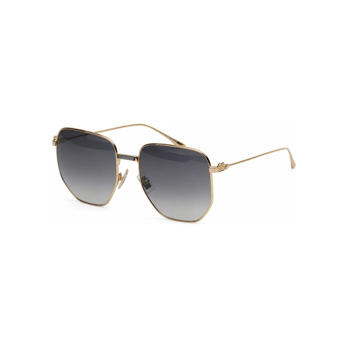 Etro Gold Frame Oversized Unisex Sunglasses