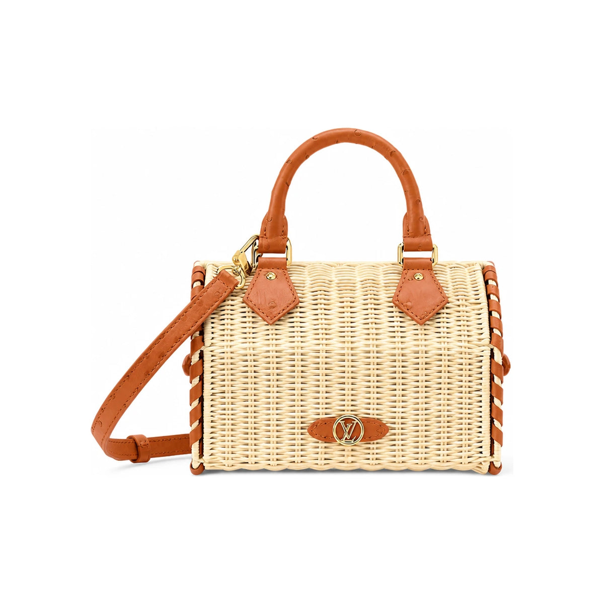 Louis Vuitton Monogram Canvas Speedy Bandouliere 20 Tote Bag N30507