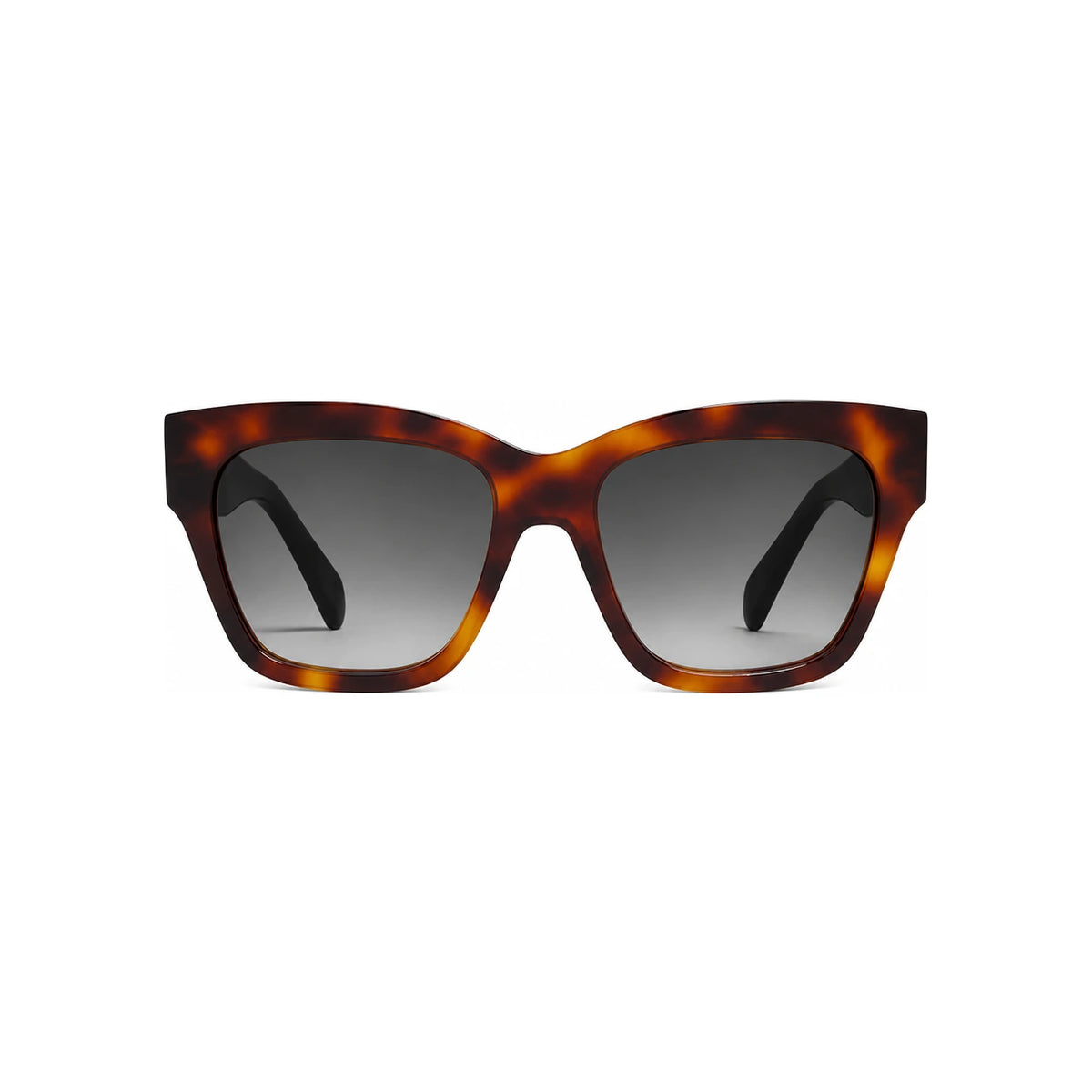 CELINE Triomphe 09 Sunglasses Acetate Classic Havana 4S253CPLB 19HD