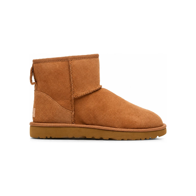Ugg Women’s Winter Boots 1016222 CHE