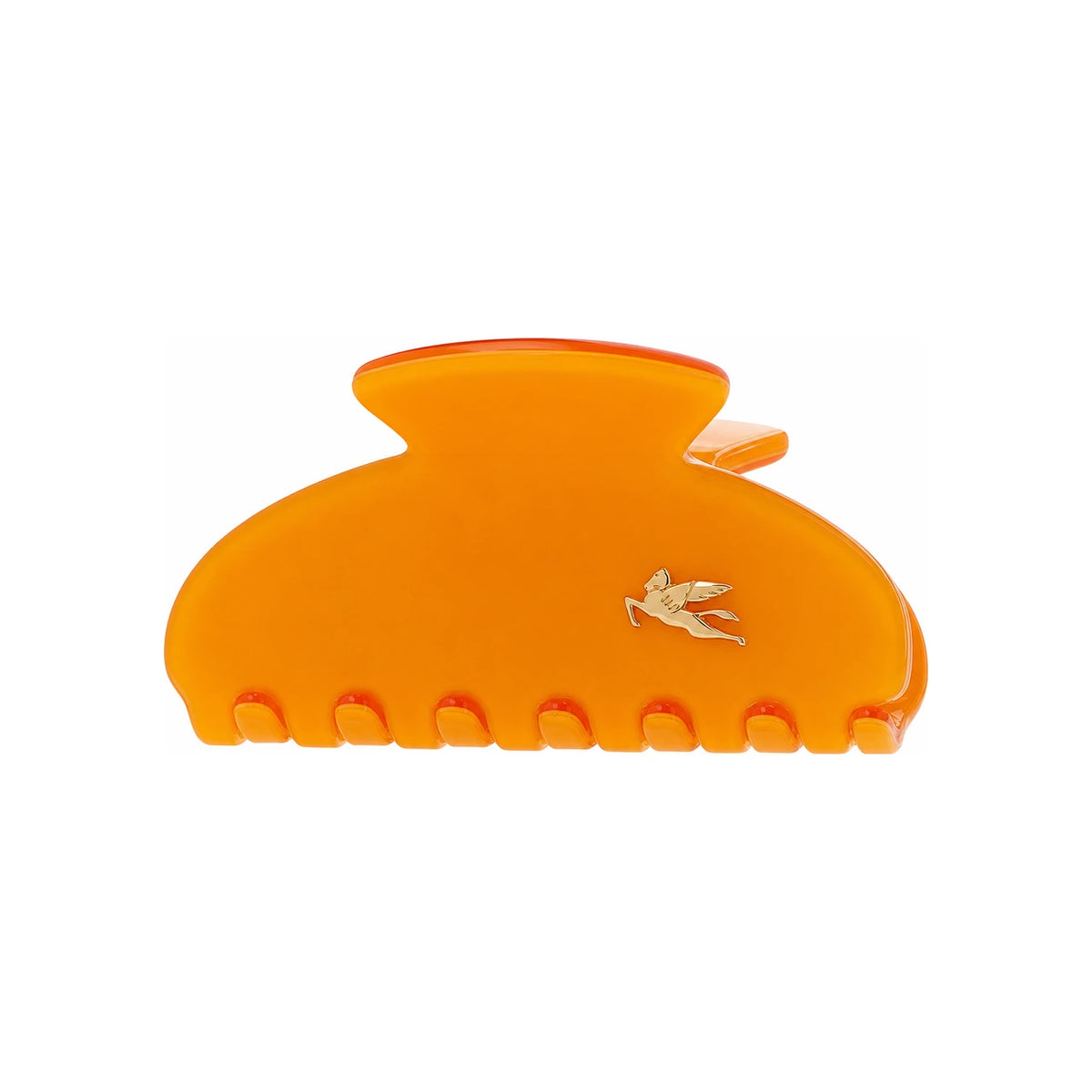 Etro Profumi Hair Clip for Women