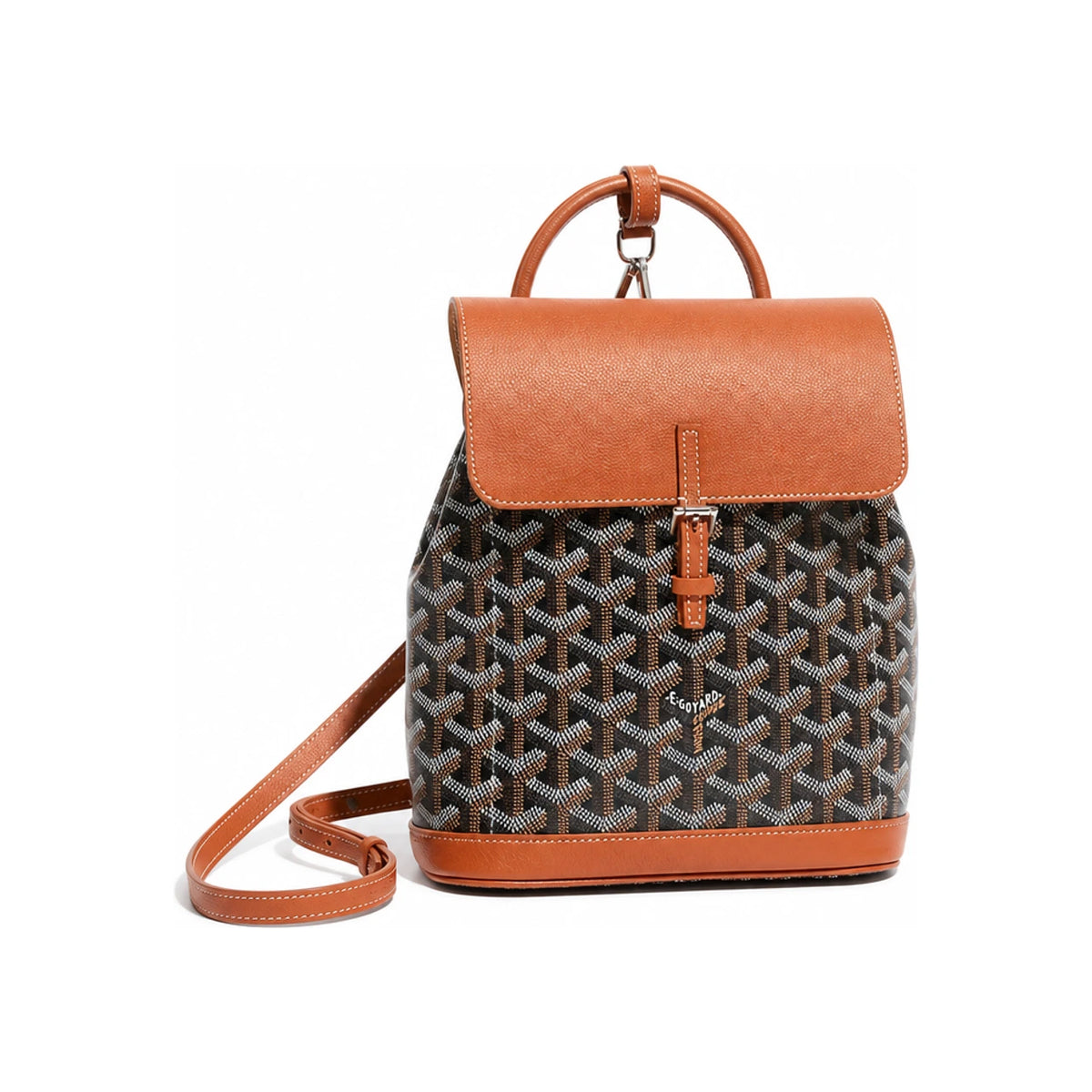GOYARD Women’s Alpin Mini Backpack Brown Black Tan Leather