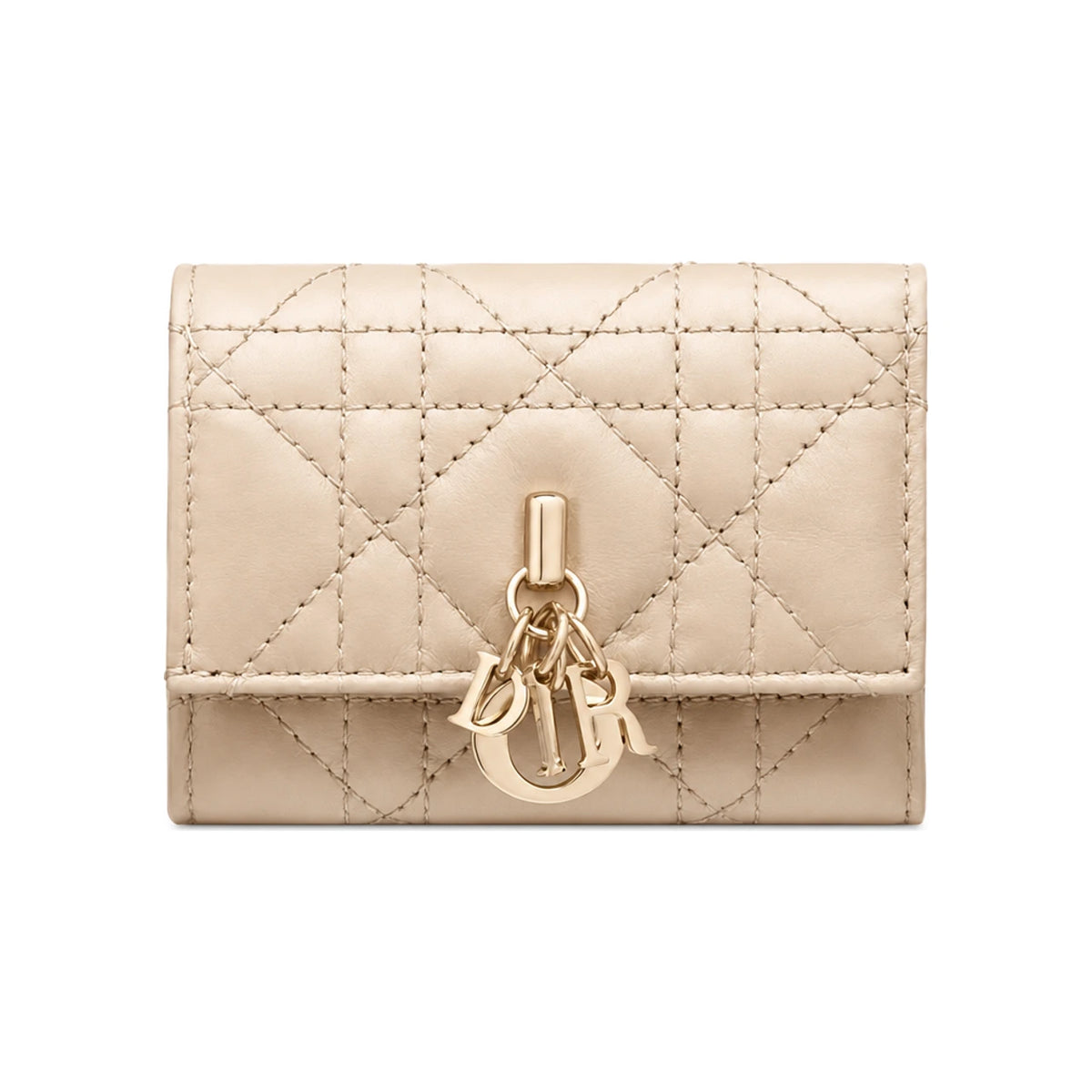 DIOR My Dior Veronia Leather Bifold Wallet S6026ONMJ M51U